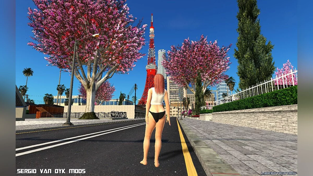 Honoka con camiseta SSR Soft Engine de Dead or Alive Xtreme Venus Vacation / GTA San Andreas