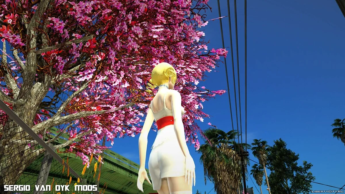 Catherine / GTA San Andreas