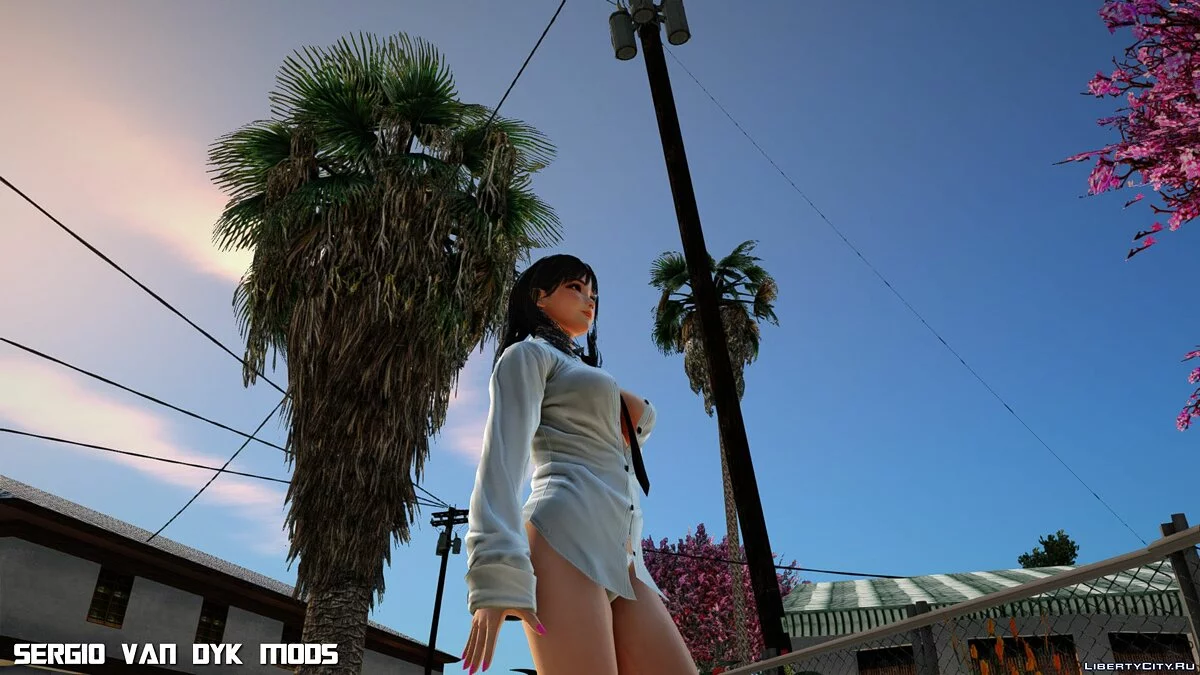 Naotora Ii en robe chemise / GTA San Andreas