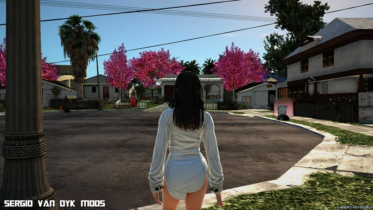 Naotora Ii en robe chemise / GTA San Andreas