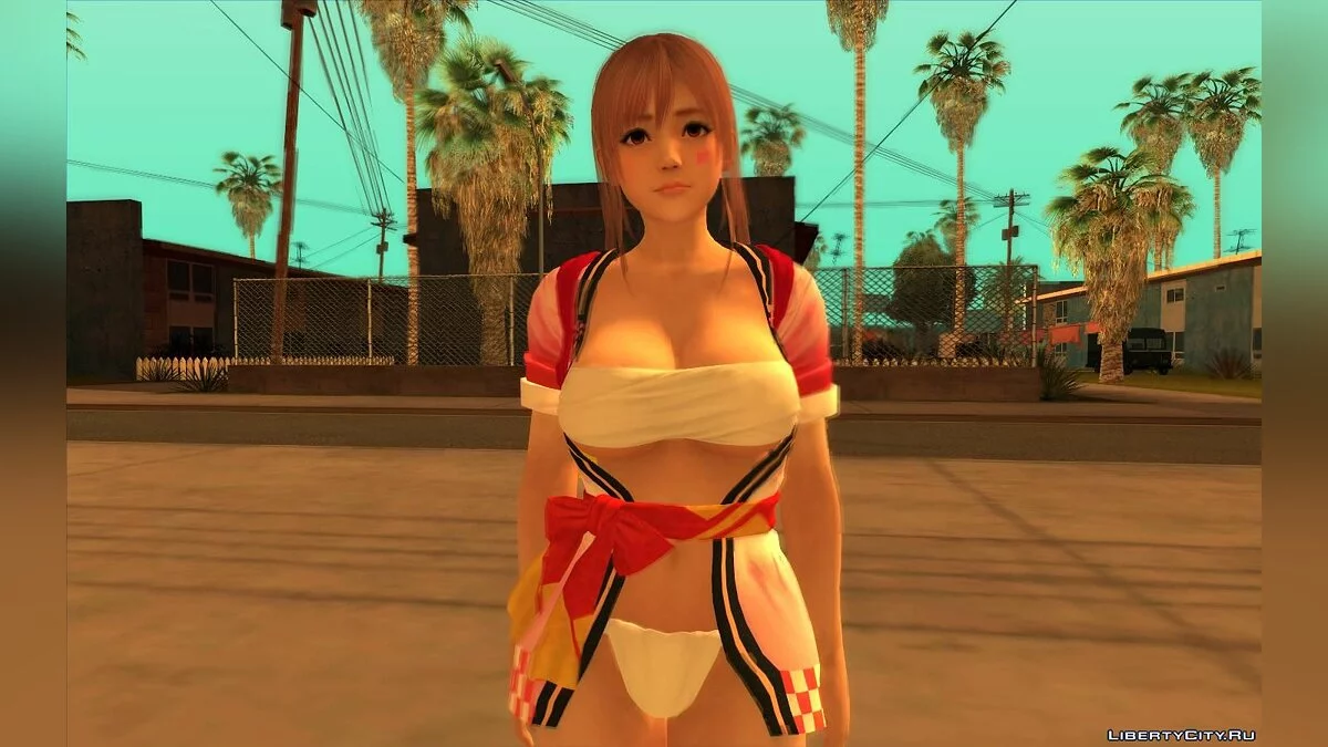 小野花 / GTA San Andreas