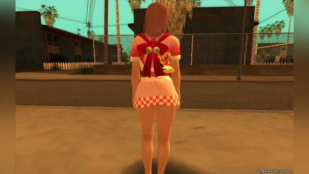 小野花 / GTA San Andreas