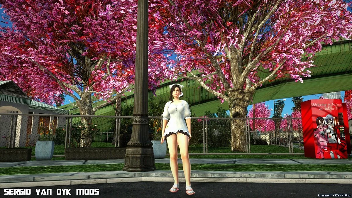 小百合 - 微笑的阳光SSR来自《死或生:极限假期》 / GTA San Andreas