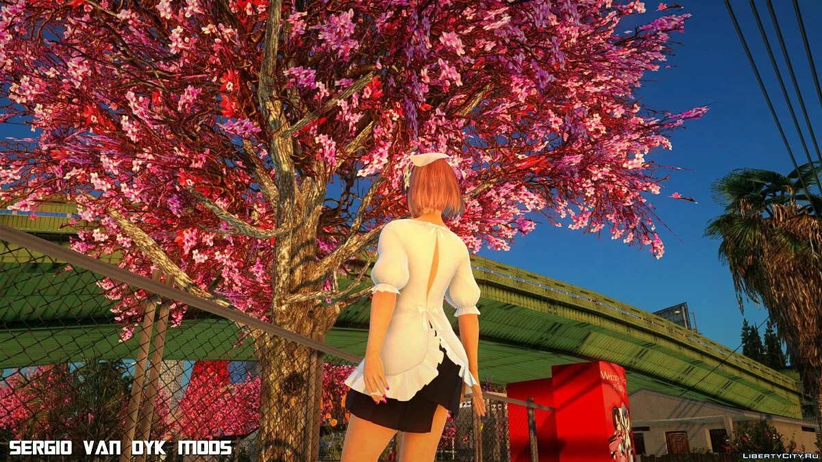 Honoka - Hohoemi Biyori SSR from Dead or Alive Xtreme Venus Vacation / GTA San Andreas