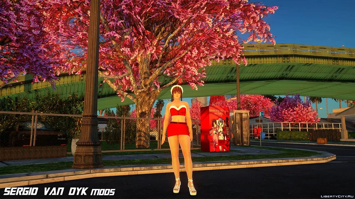 Kasumi in Christmas Outfit / GTA San Andreas