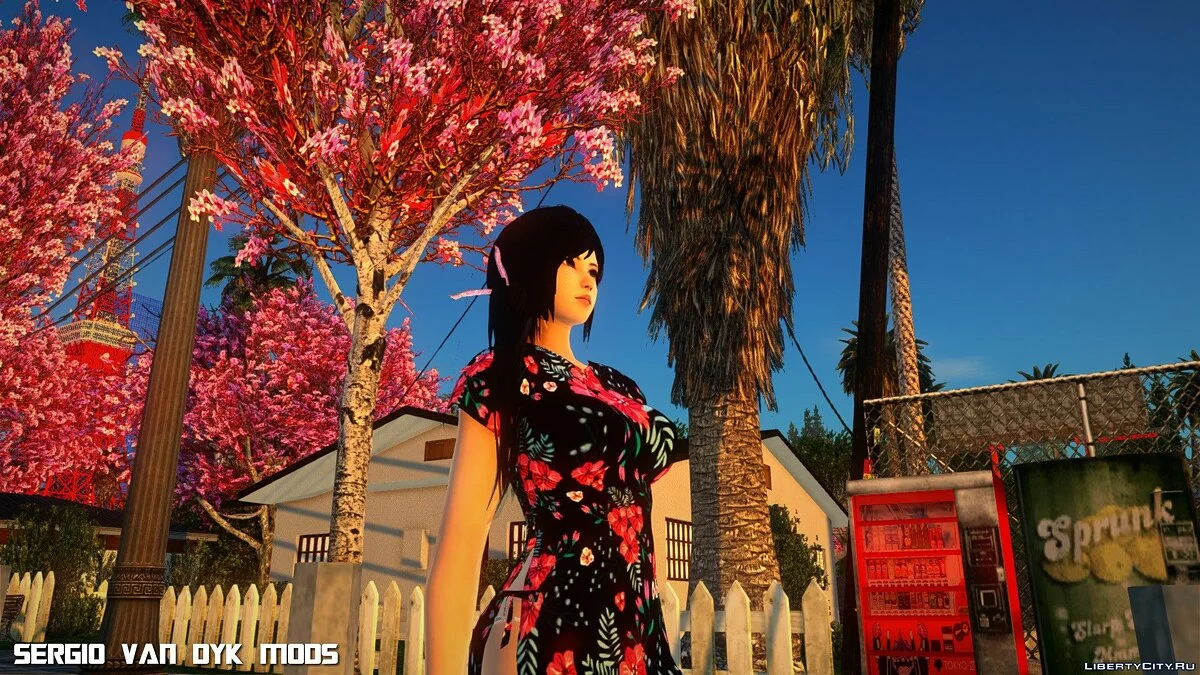 Kokoro in Dress (Happy Birthday) / GTA San Andreas