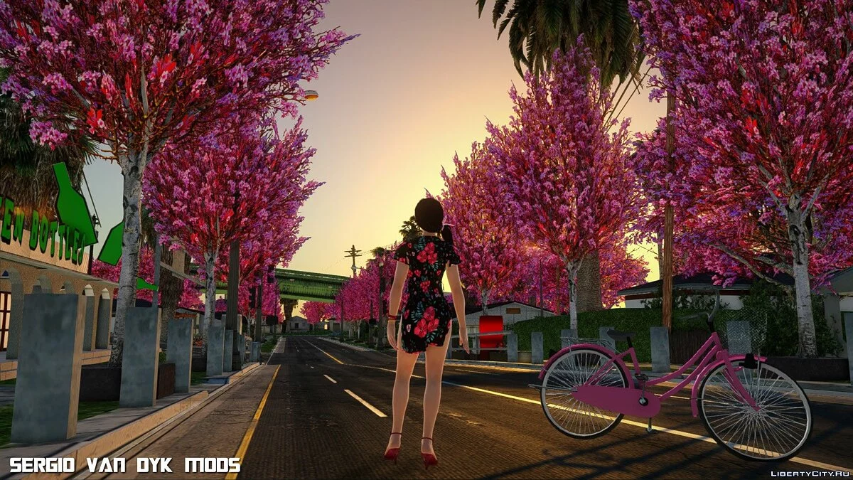 Kokoro in Dress (Happy Birthday) / GTA San Andreas