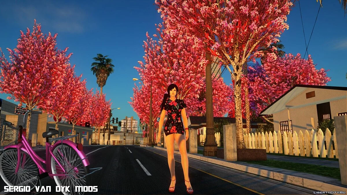 Kokoro in Dress (Happy Birthday) / GTA San Andreas