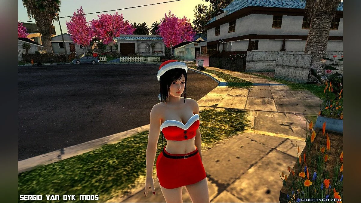 Kokoro en ropa navideña / GTA San Andreas