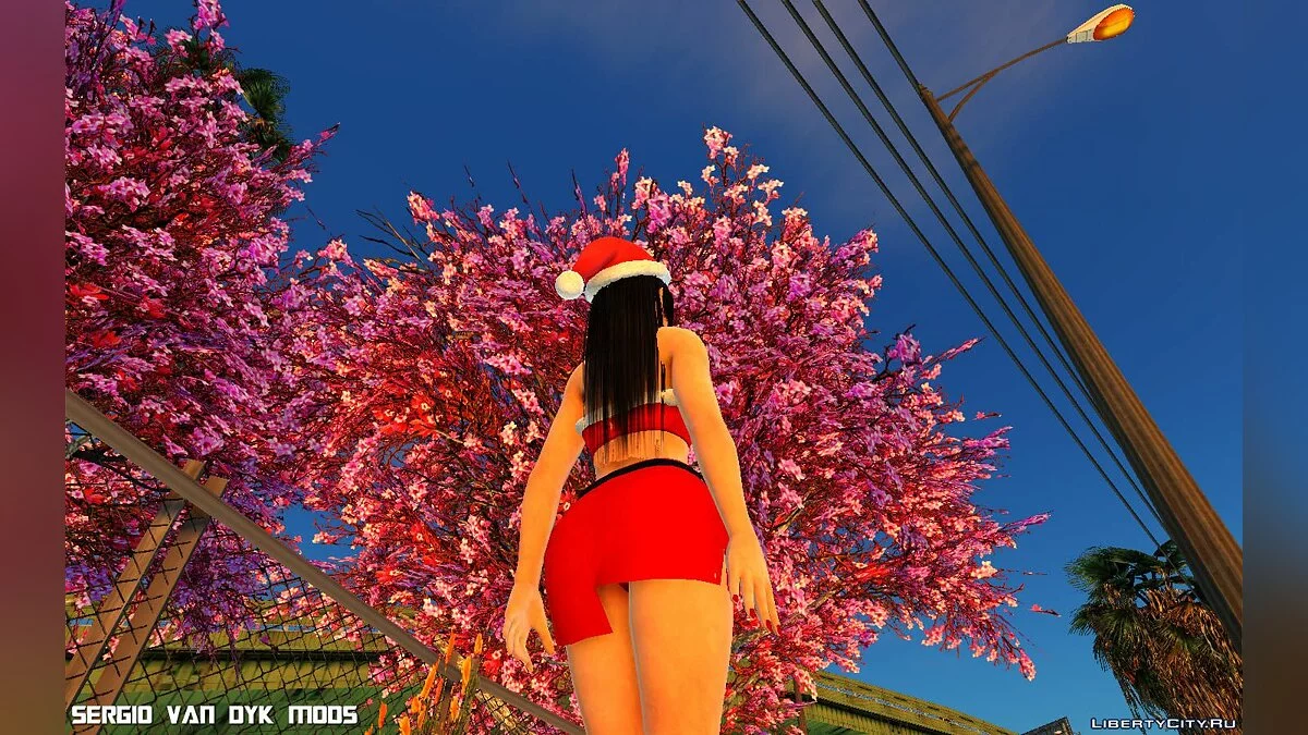 Naotora Li dalam Pakaian Natal / GTA San Andreas