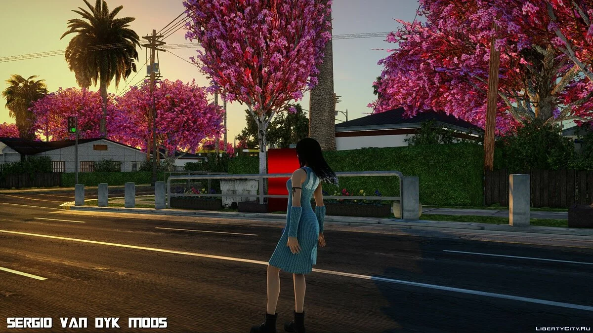 迪西迪亚:最终幻想中的瑞诺亚·哈特莉 / GTA San Andreas