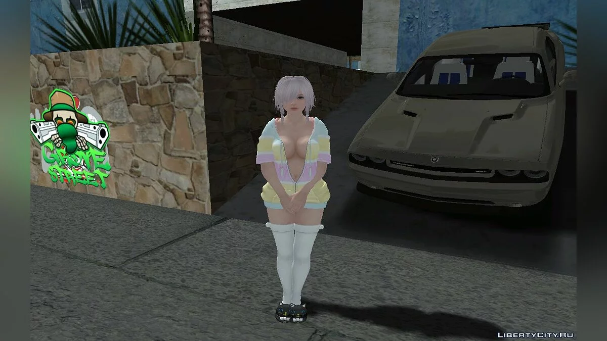 Luna Loose Fluffy Parka / GTA San Andreas