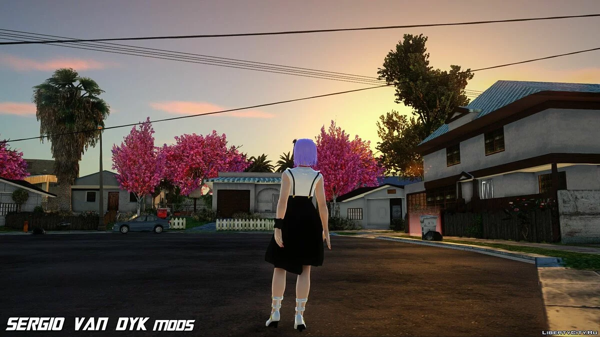 Hotaru Shidare from Sweet Shop / GTA San Andreas