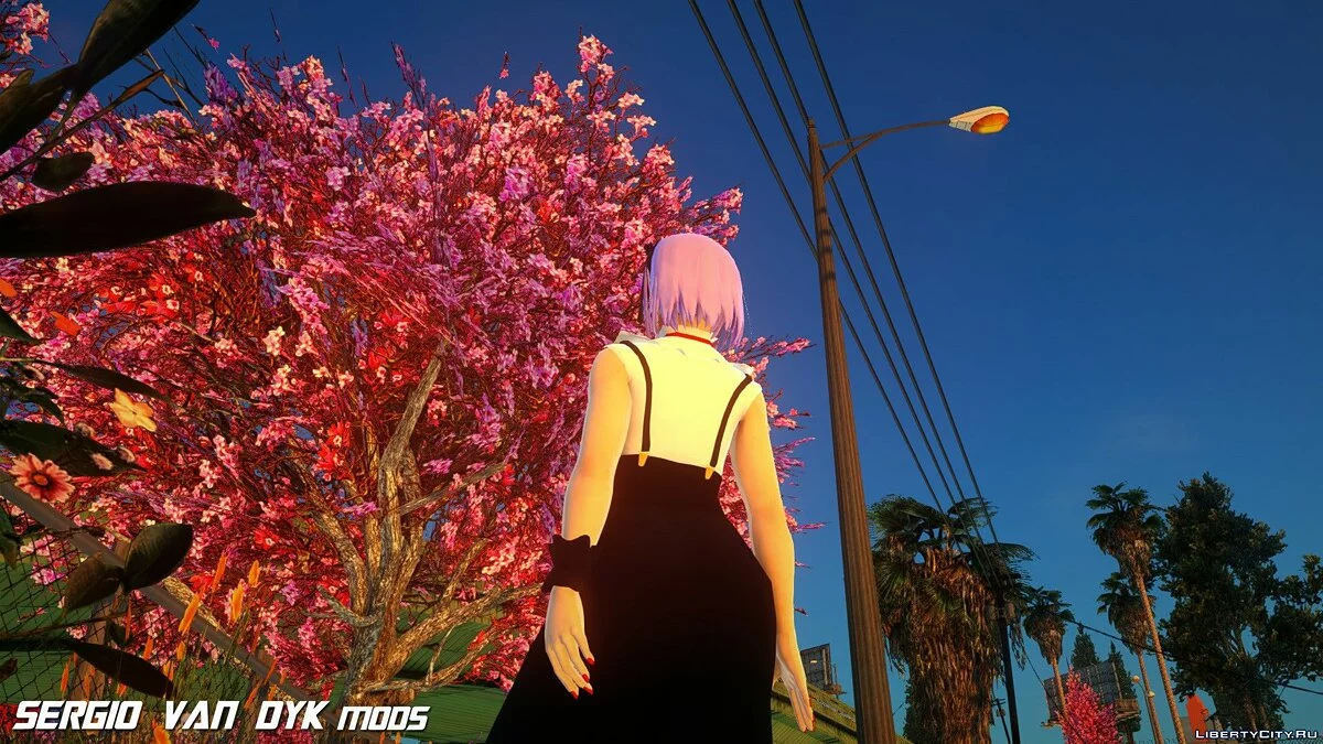 Hotaru Shidare from Sweet Shop / GTA San Andreas