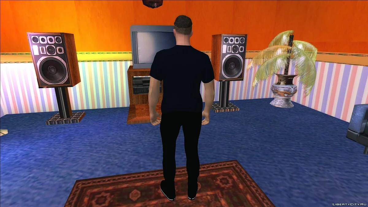 Хлопець №22 з GTA Online / GTA San Andreas