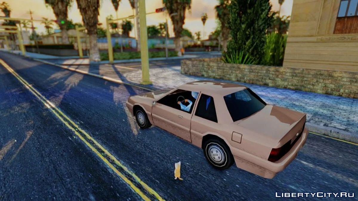 Gato Miguel / GTA San Andreas