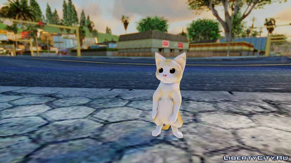 Gato Miguel / GTA San Andreas