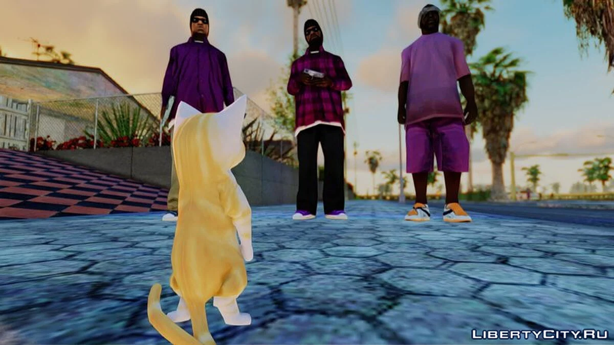 Gato Miguel / GTA San Andreas
