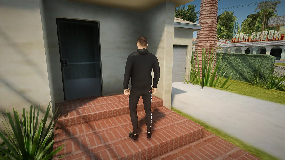 Michail Litwin / GTA San Andreas