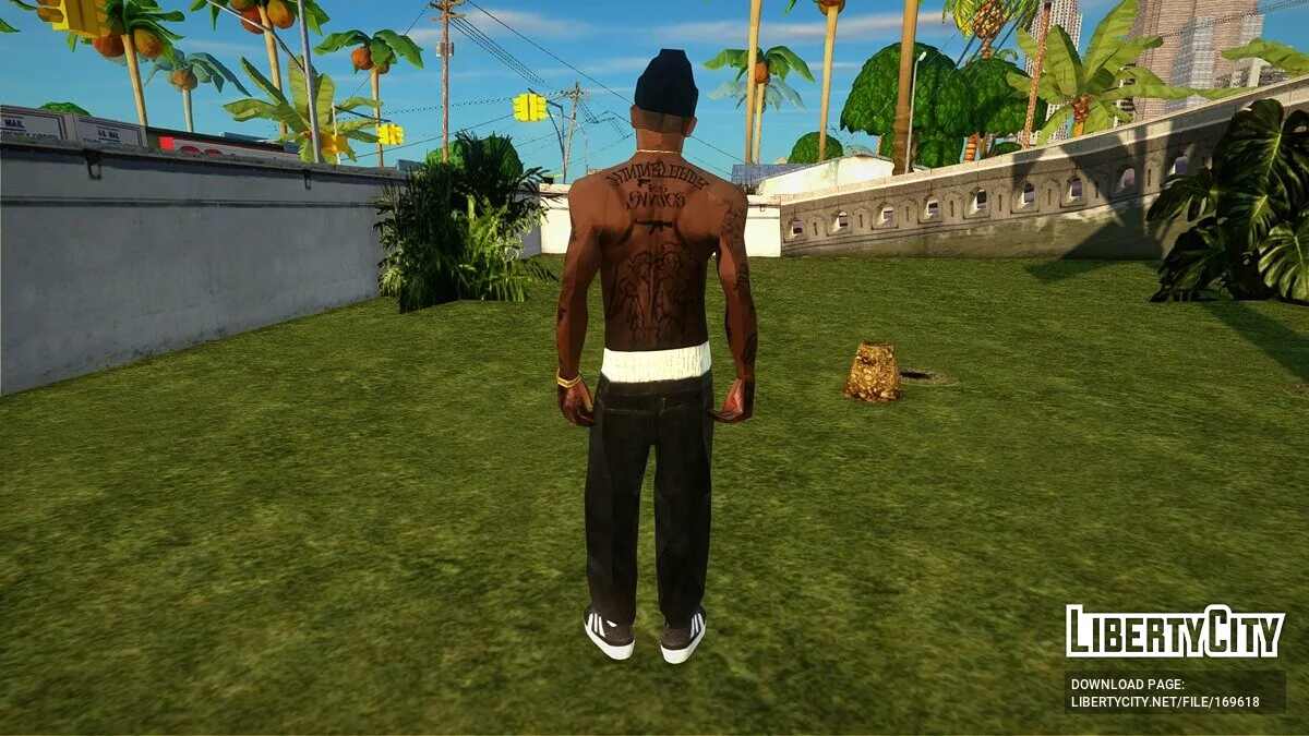 Og Loc / GTA San Andreas
