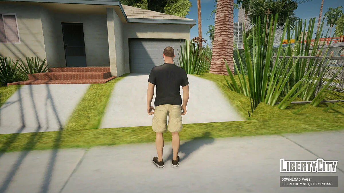 Повседневный скин №1 / GTA San Andreas