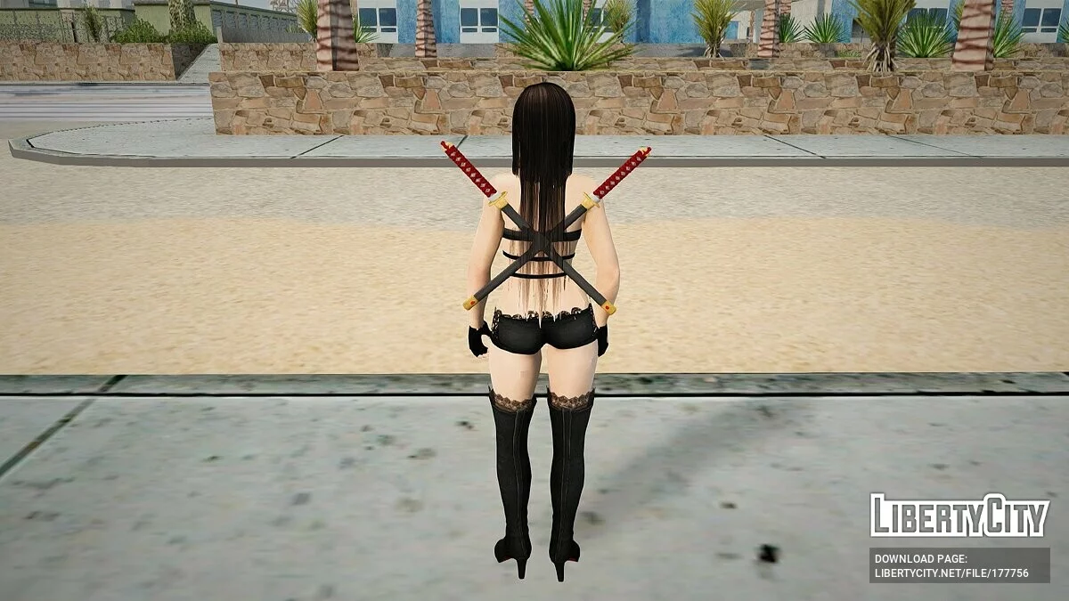 Kokoro Légende / GTA San Andreas