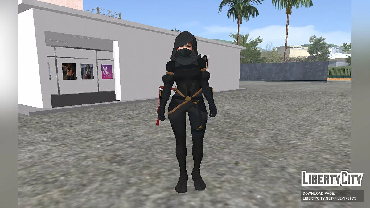 DOA Phase 4 - Desing Contest / GTA San Andreas