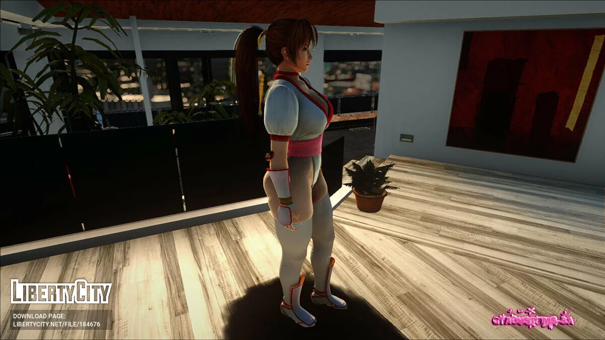 Kasumi Princess Thighs / GTA San Andreas