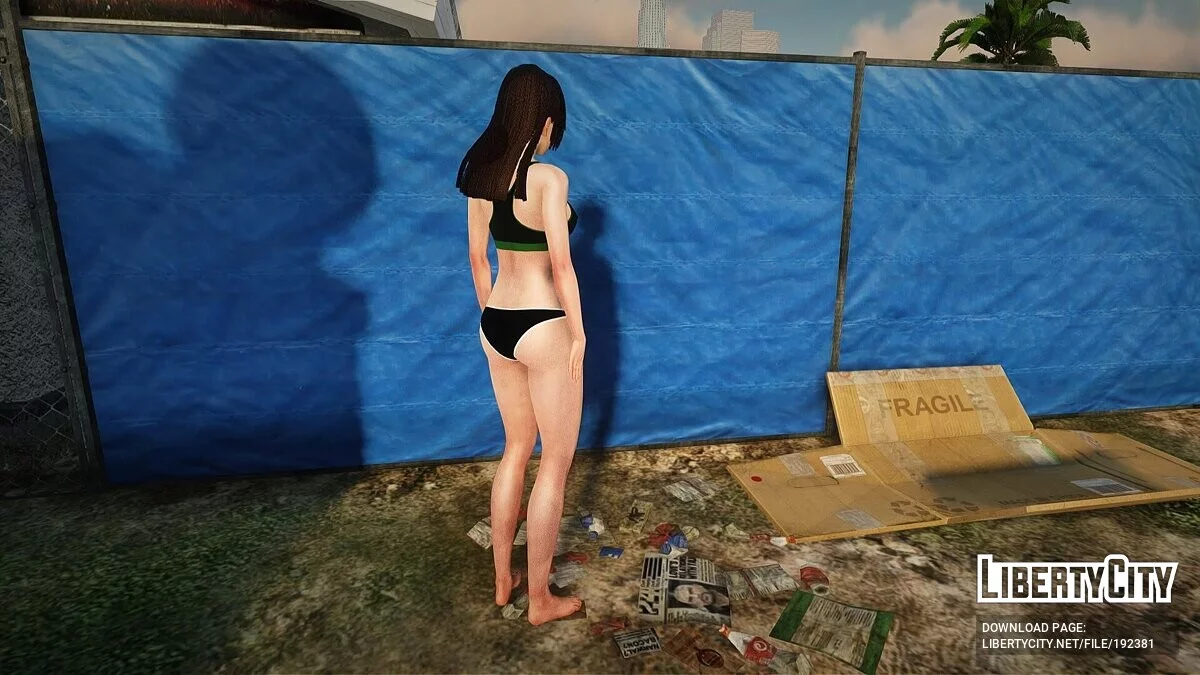 Gadis dengan pakaian dalam / GTA San Andreas
