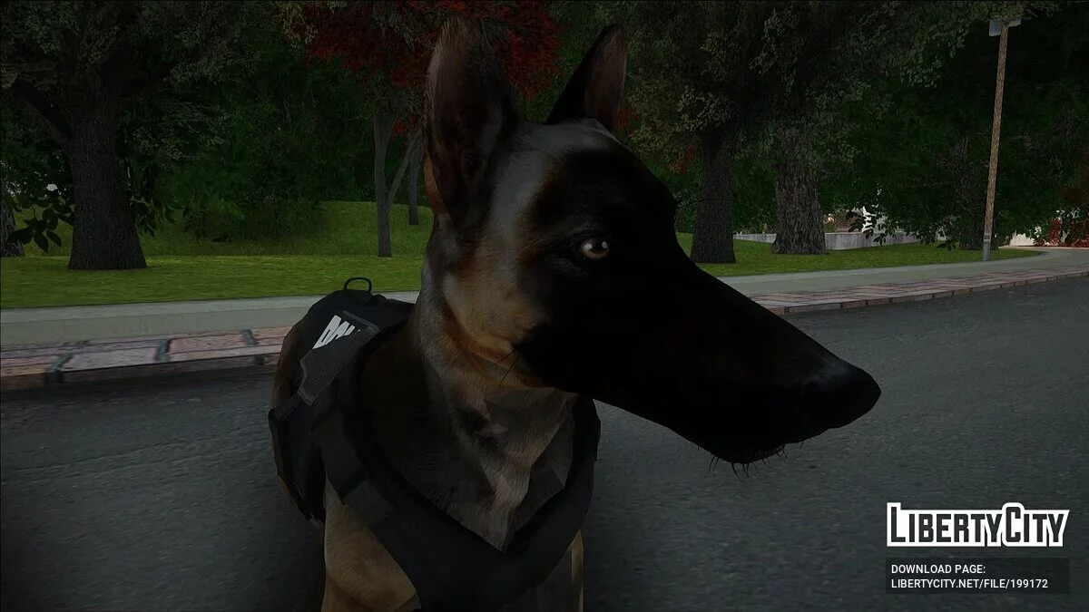 Поліцейська собака / GTA San Andreas