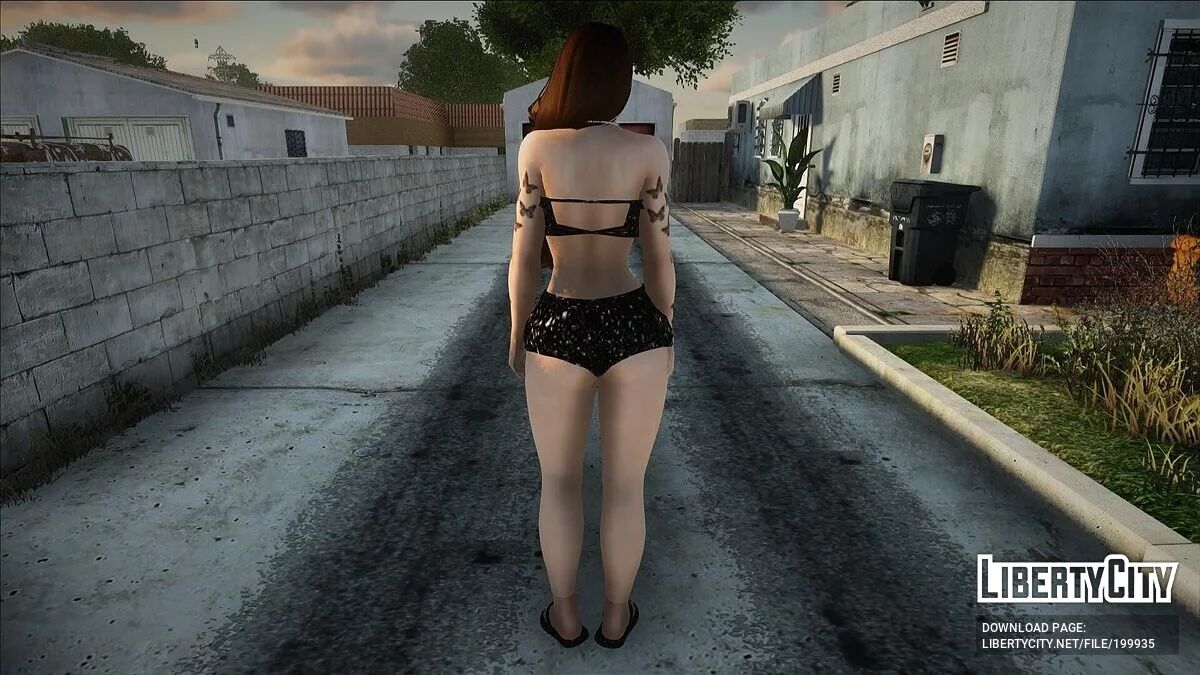 A girl in a sexy outfit / GTA San Andreas