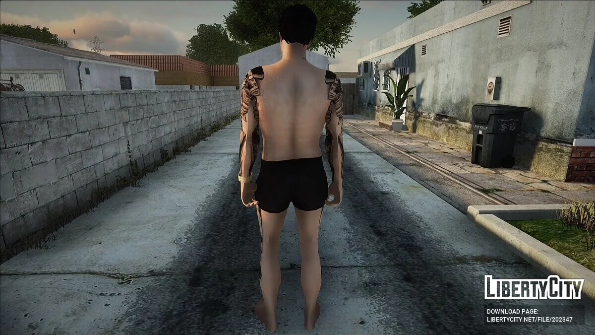 Skin de plage masculin #1 (PC/Mobile) / GTA San Andreas