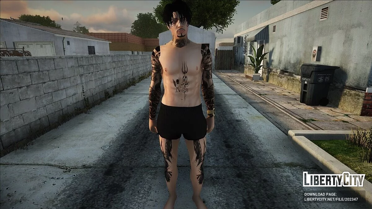 Skin de plage masculin #1 (PC/Mobile) / GTA San Andreas