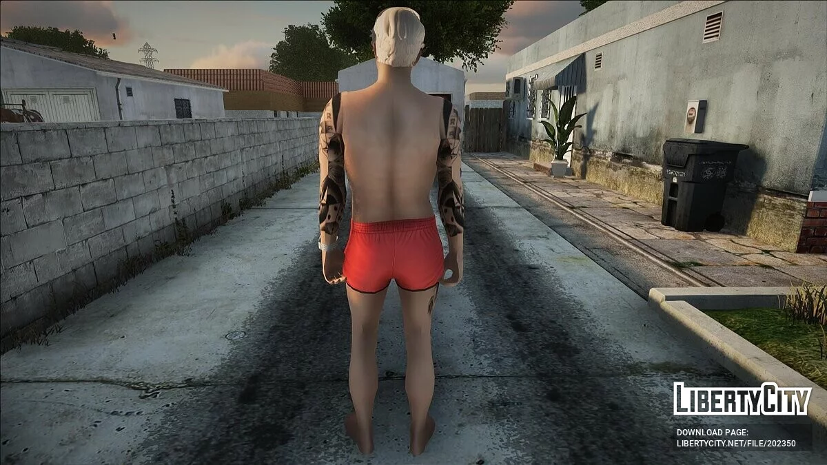 Чоловічий пляжний скін #2 (PC/Mobile) / GTA San Andreas