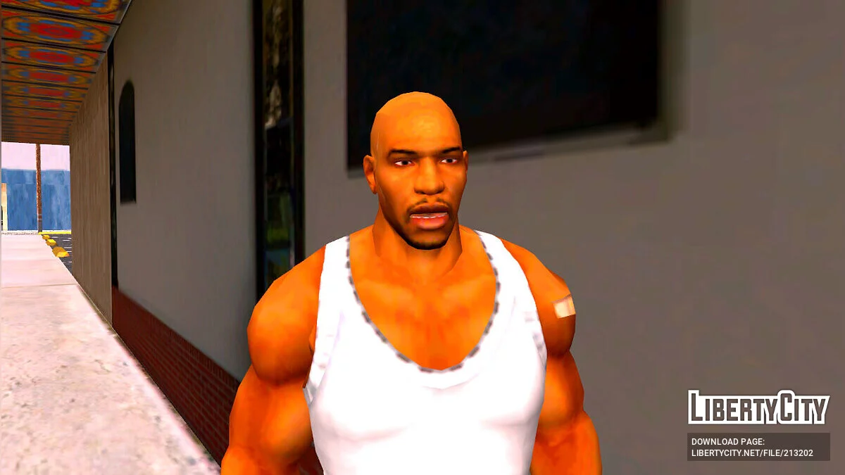 Sticky Fingaz [Def Jam Fight For NY] / GTA San Andreas
