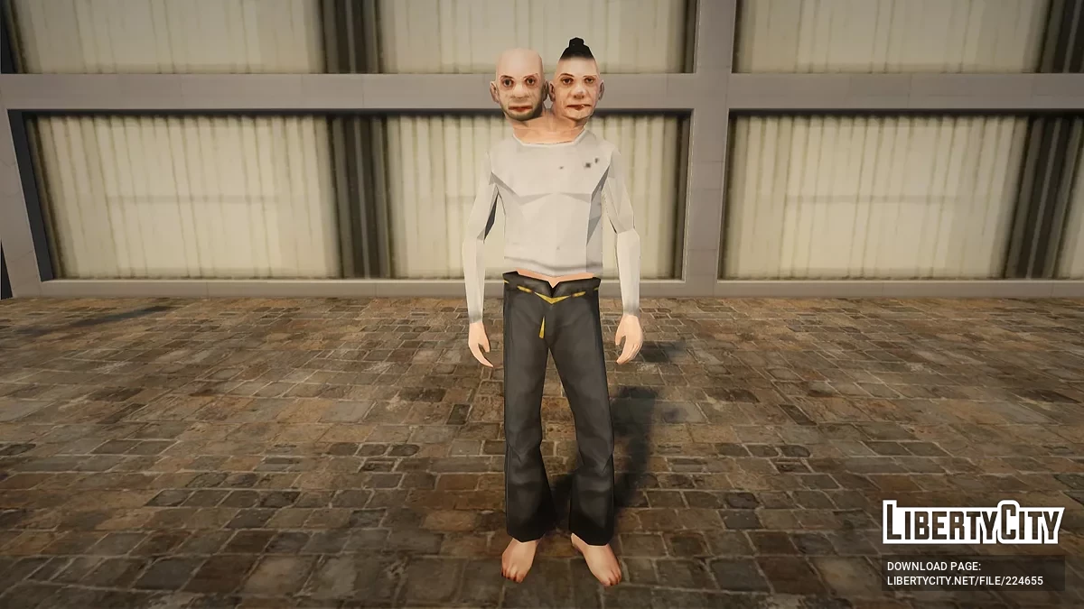 Bash and Foka / GTA San Andreas