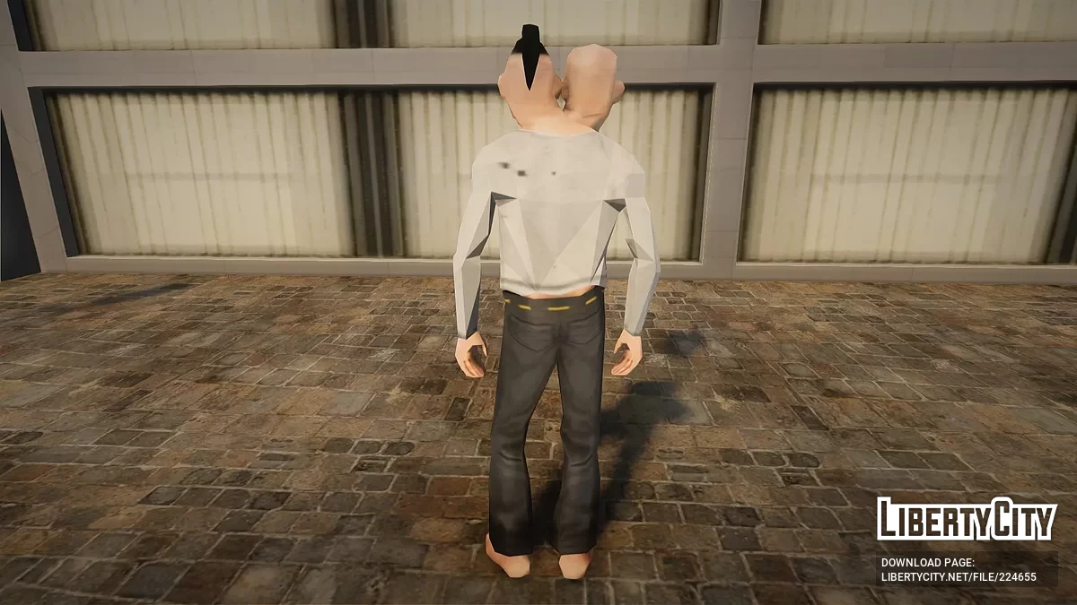 Bash and Foka / GTA San Andreas