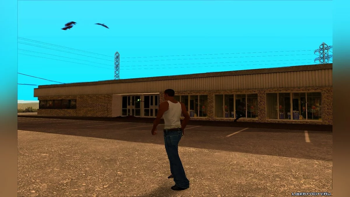 HQ version of the desn2_tsblock store in the countN2 area / GTA San Andreas