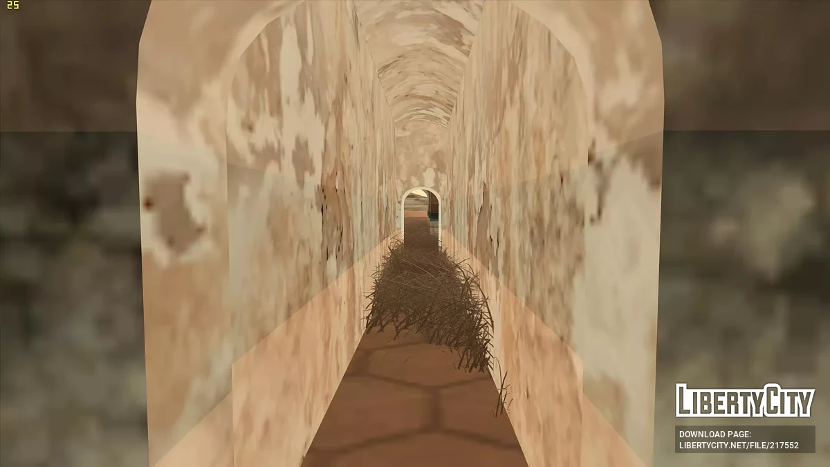 废弃的精神病院 / GTA San Andreas