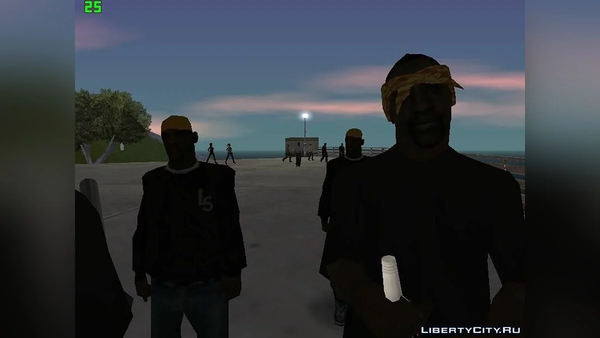 San Fierro Flats (банда) / GTA San Andreas