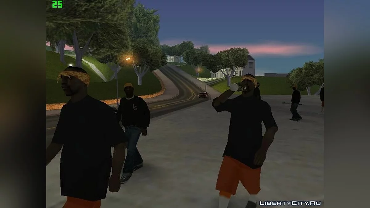San Fierro Flats (банда) / GTA San Andreas