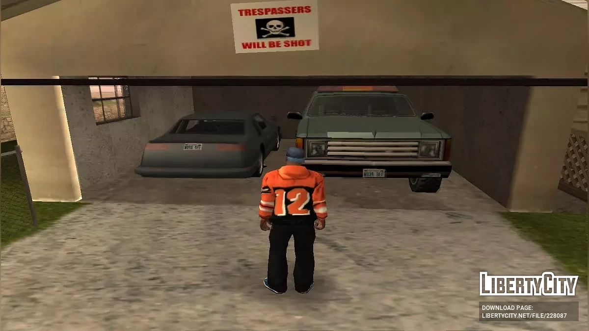 GTA: The Challenge 100%存档 / GTA San Andreas