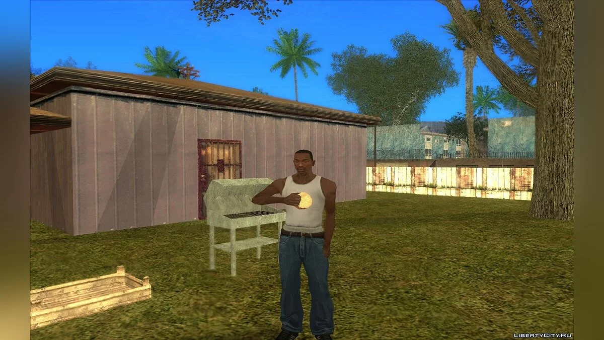 Barbecue / GTA San Andreas