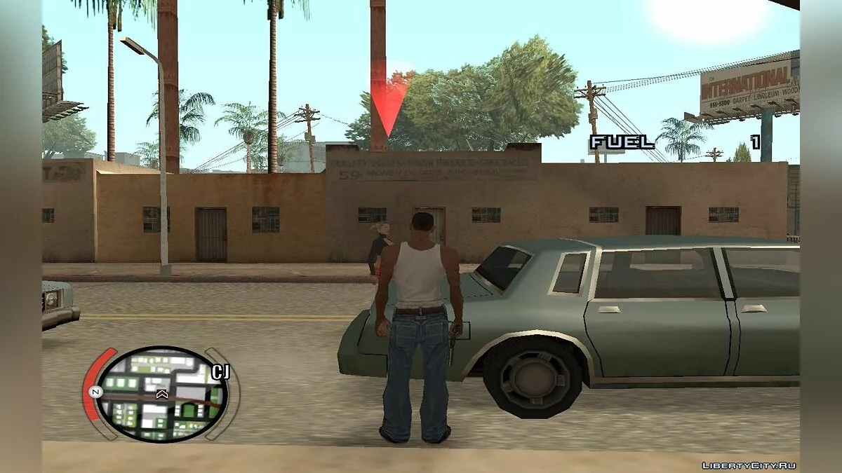 Hide Victim / GTA San Andreas