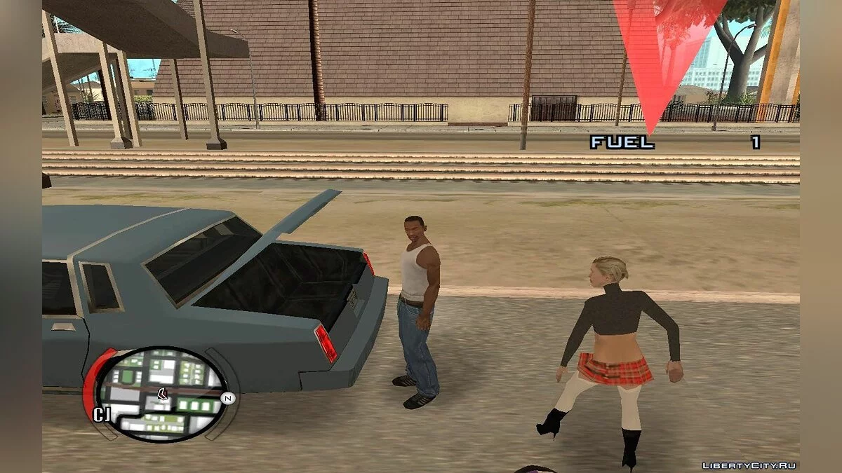 Hide Victim / GTA San Andreas