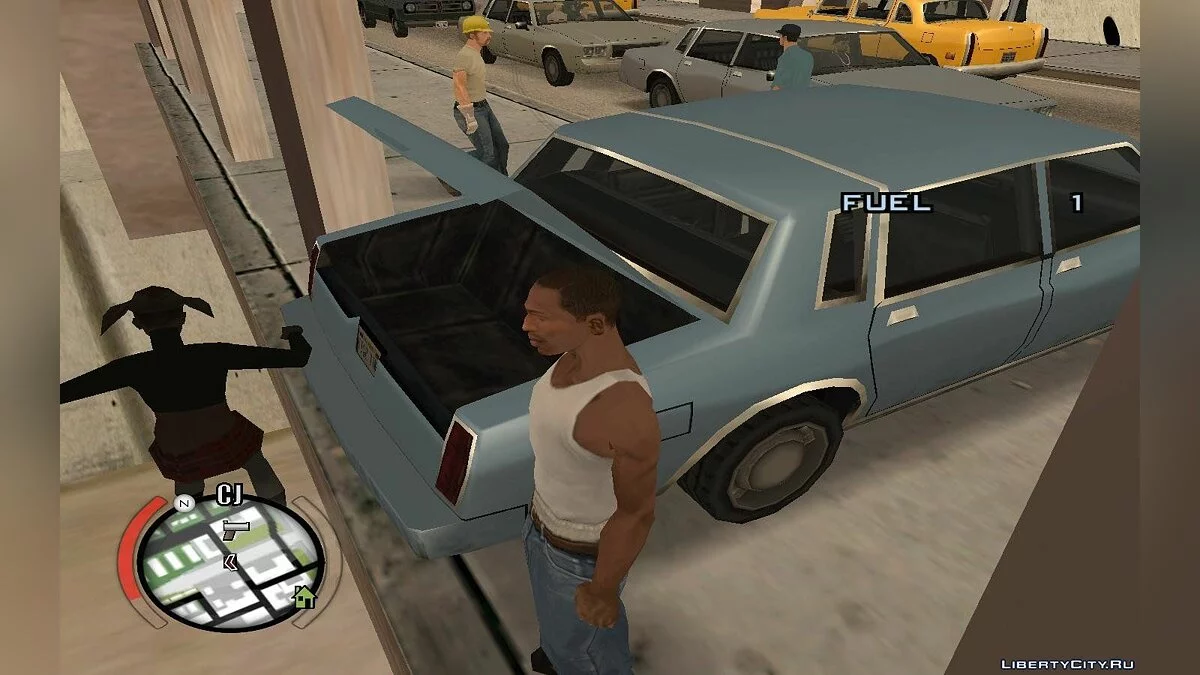 Hide Victim / GTA San Andreas