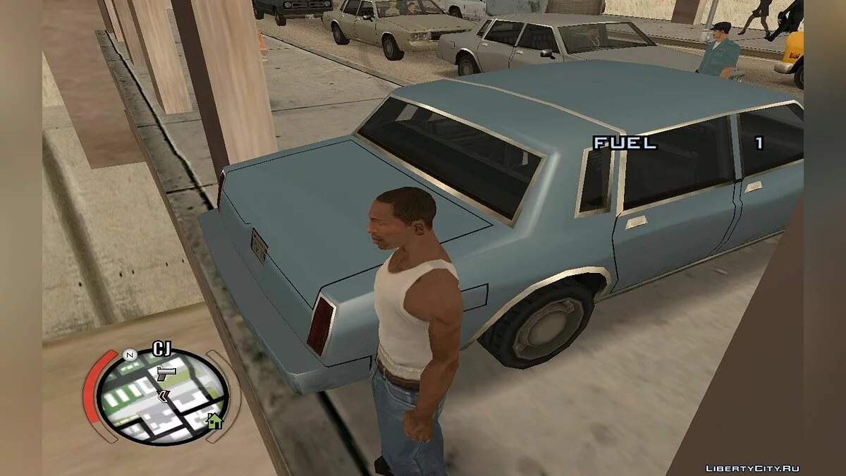 Hide Victim / GTA San Andreas
