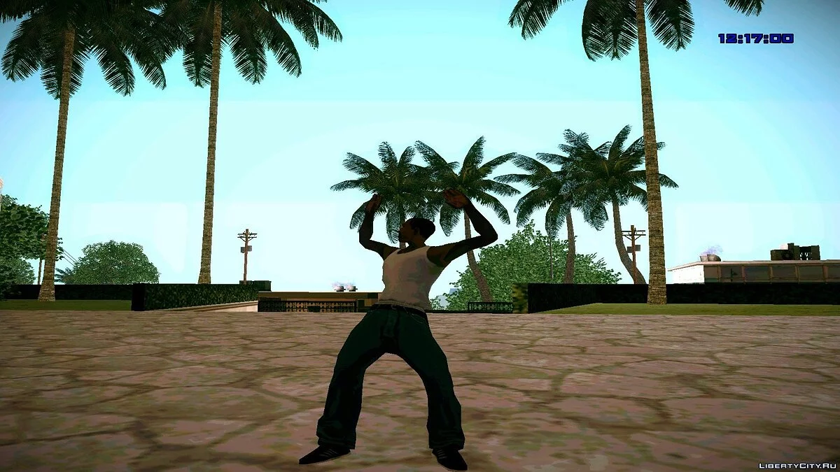 Animation MOD par xXx2o1o 3.0 / GTA San Andreas