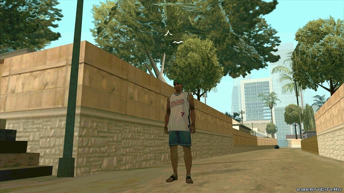 GTA San Andreas майка СИДЖЕЯ