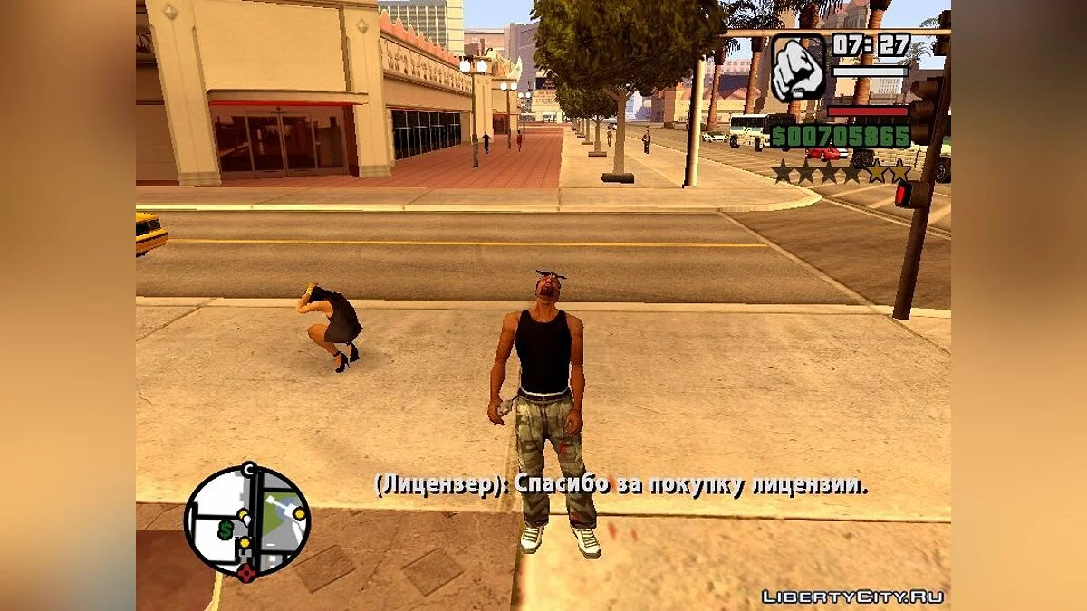 Gun License / GTA San Andreas